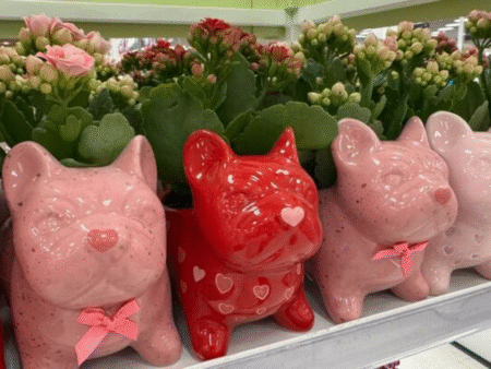 Target Frenchie Planters