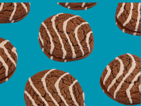 Little Debbie Fudge Rounds 2pk