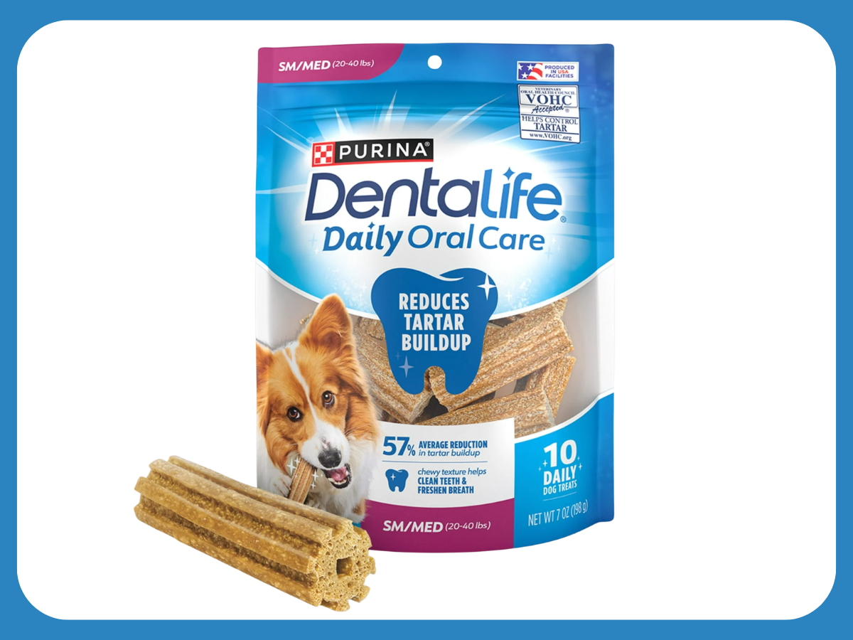 dentalife dentalife