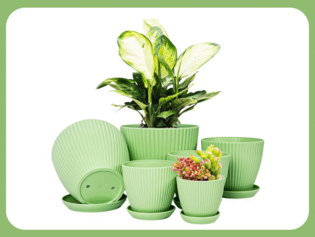 green planter pots