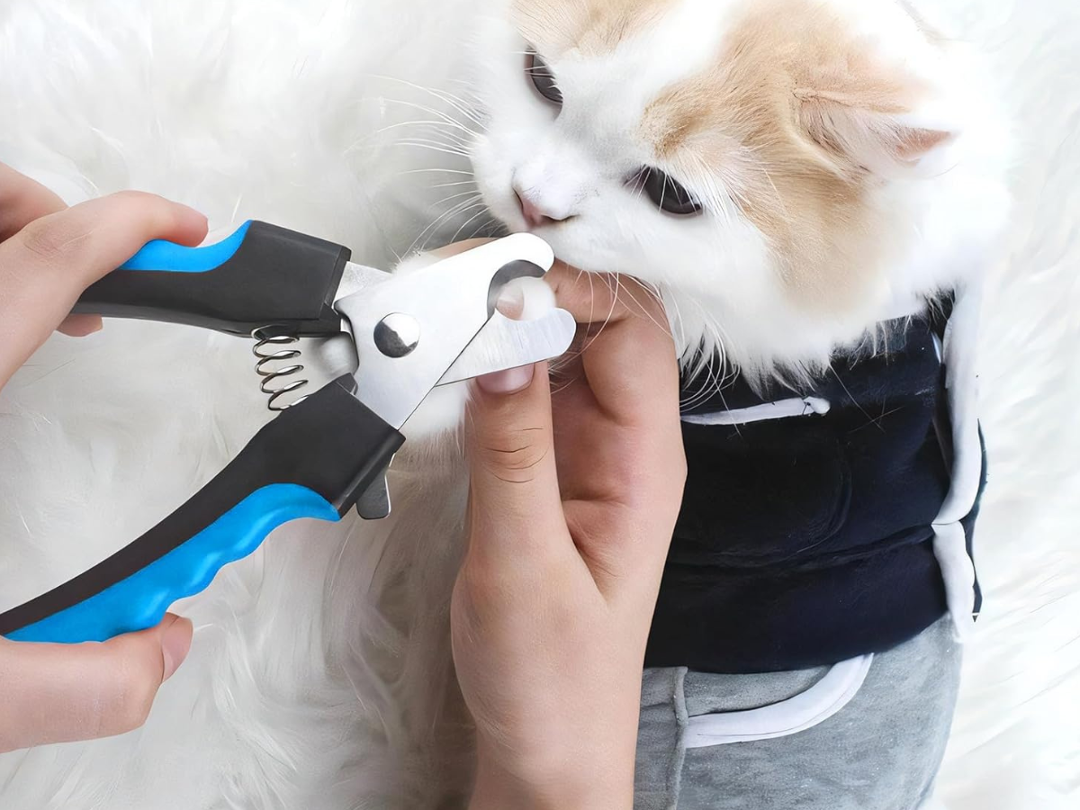 pet nail clippers