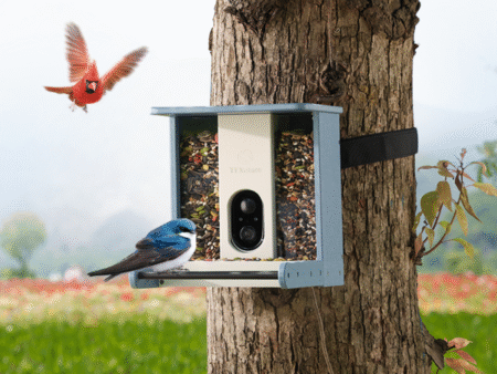 solar smart bird feeder