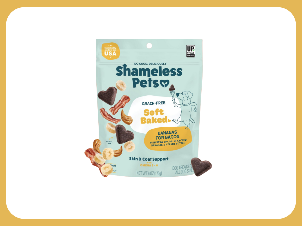 Shameless pet dog treats 