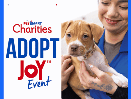 Adopt Joy Event