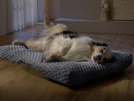 Bedsure Large Washable Dog Bed for Crate