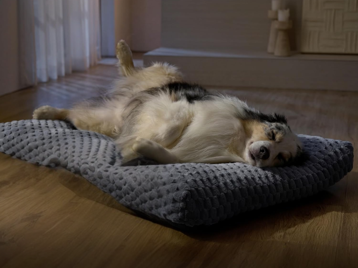 Bedsure Large Washable Dog Bed for Crate Bedsure Large Washable Dog Bed for Crate