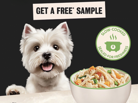 Cesar Wholesome Bowls Free Sample