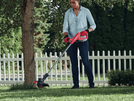 Craftsman Trimmer (1)