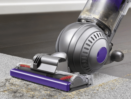 Dyson Animal Vacuum (1)