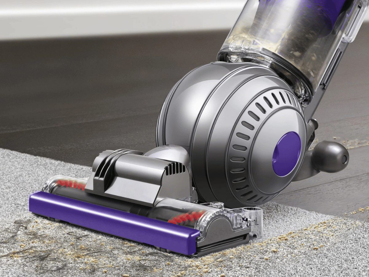 Dyson Animal Vacuum (1)