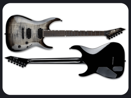 ESP LTD Guitar