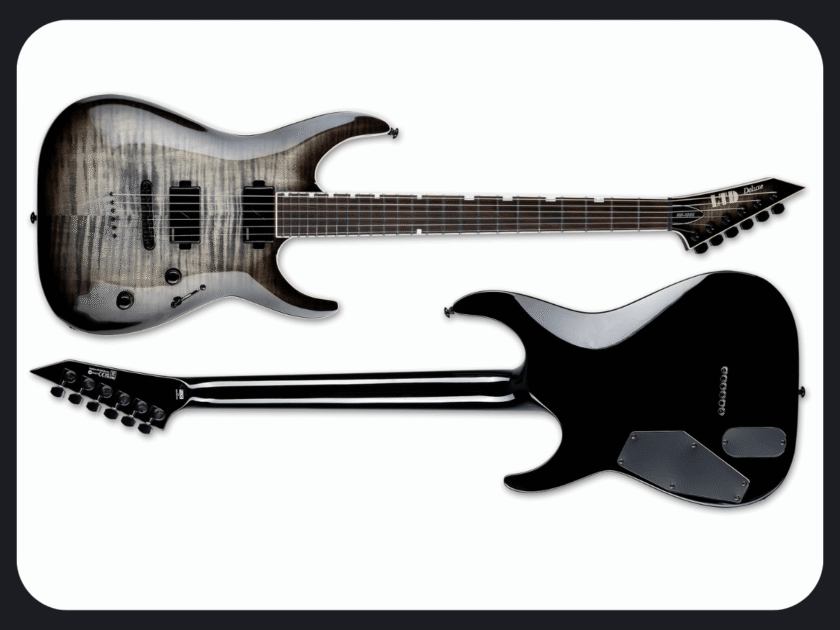ESP LTD Guitar