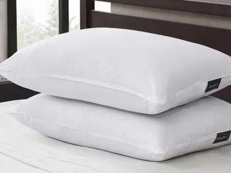 Eddie Bauer pillows