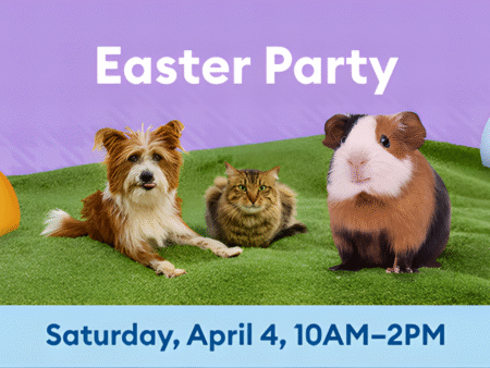 Free PetSmart Easter Party Event on April 4th