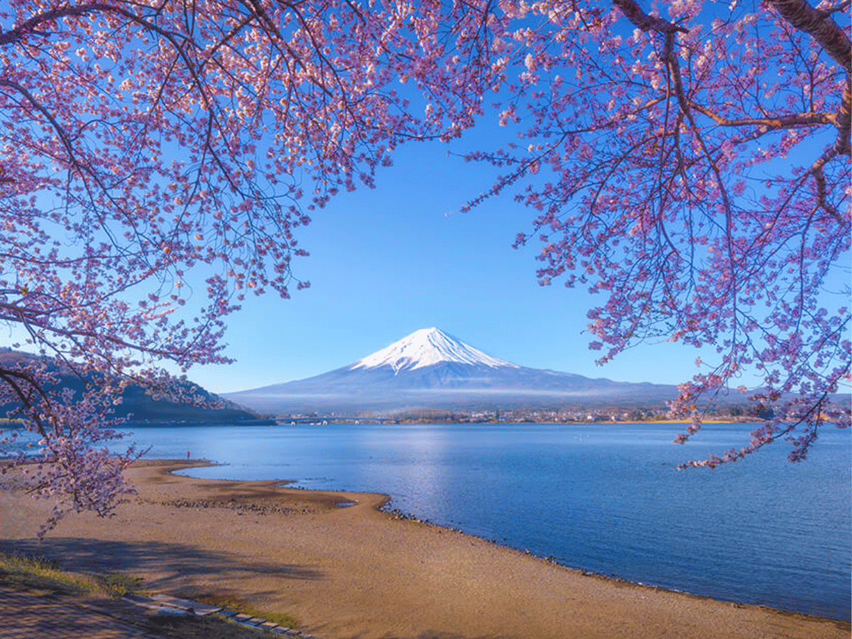 3 Winners get a Dream Trip in The 2026 CLIF Run the World Sweepstakes