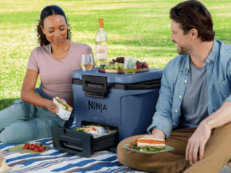 Ninja Frostvault Cooler