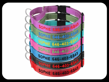 Dog Collars