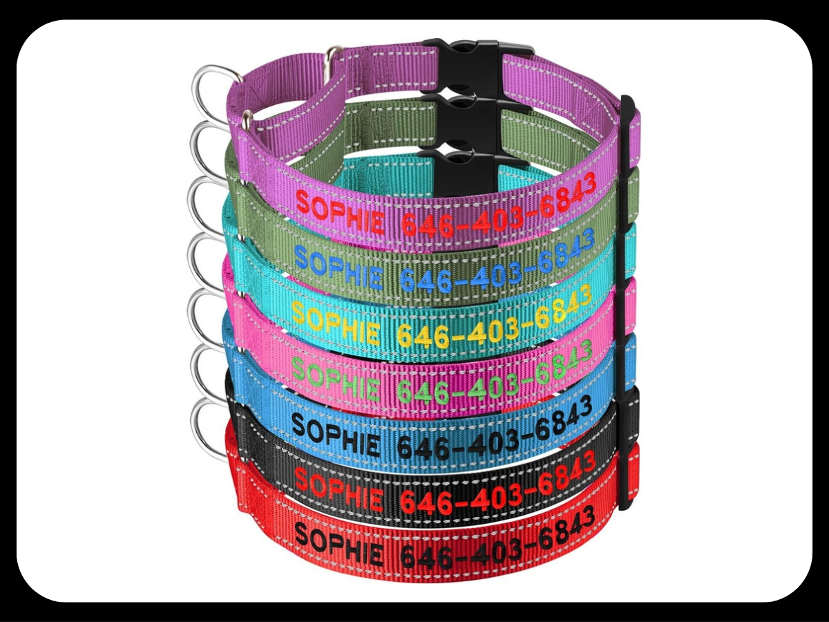 Dog Collars 