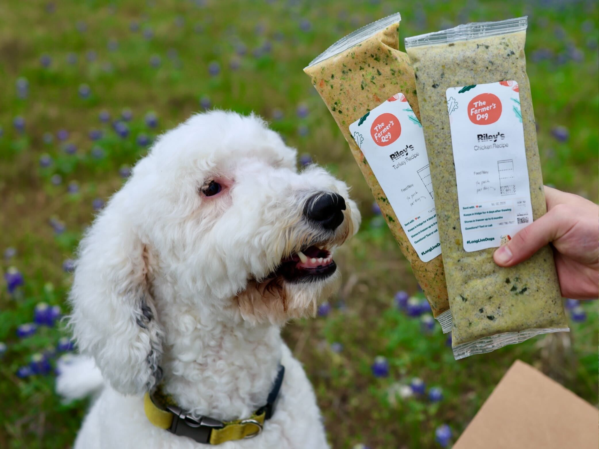 The Farmer's Dog copy The Farmer's Dog copy