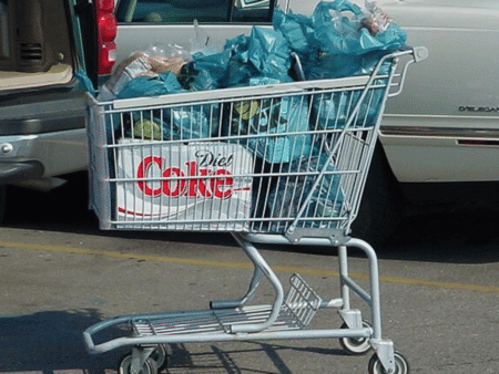 Walmart Shopping Cart