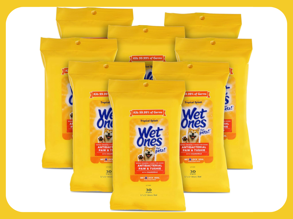 Wet Ones for Pets