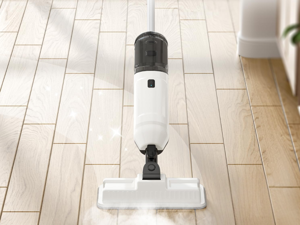 Wotaste Steam Mop