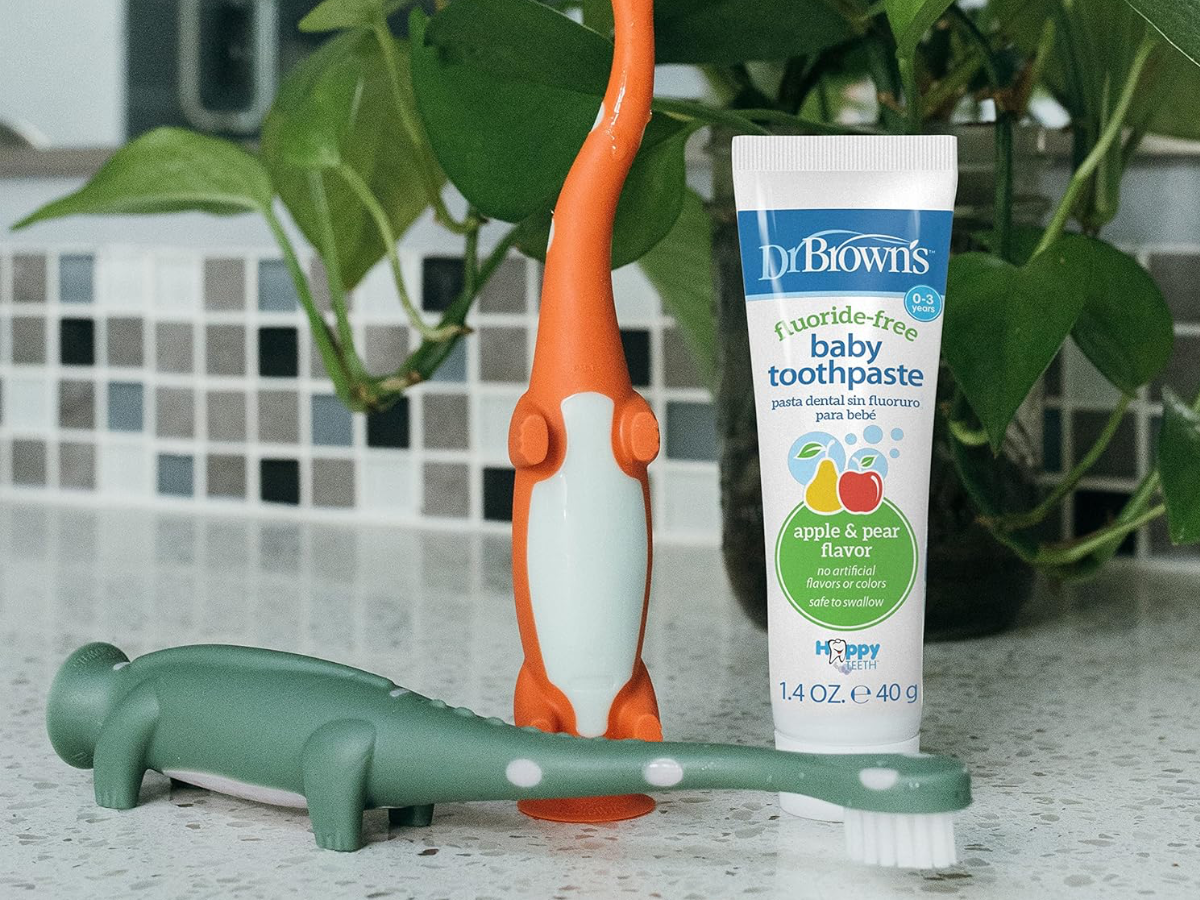 dr brown toothbrush dr brown toothbrush