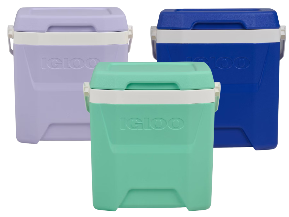 igloo 12 qt cooler