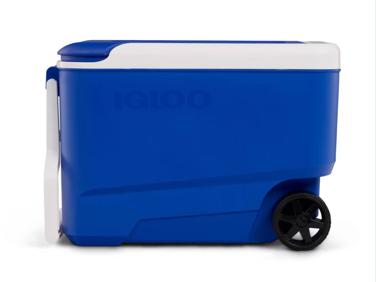 igloo wheelie 38qt cooler