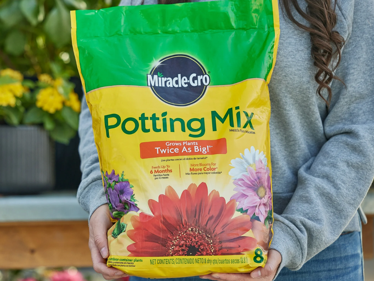potting mix
