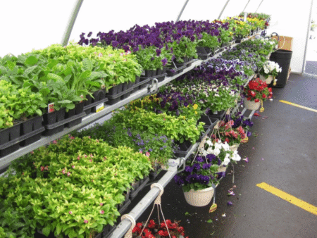 runnings garden center