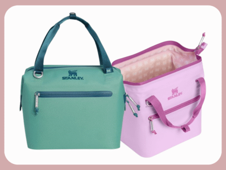 stanley cooler bag