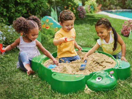 turtle sand box