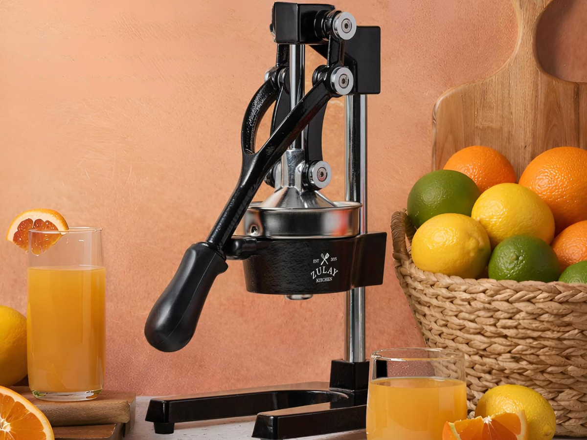 zulay juicer zulay juicer
