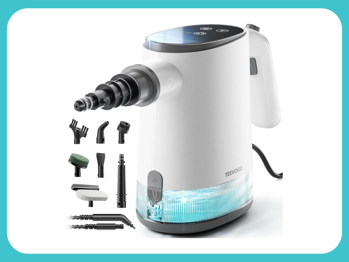 Handheld Steam Cleaner on Amazon