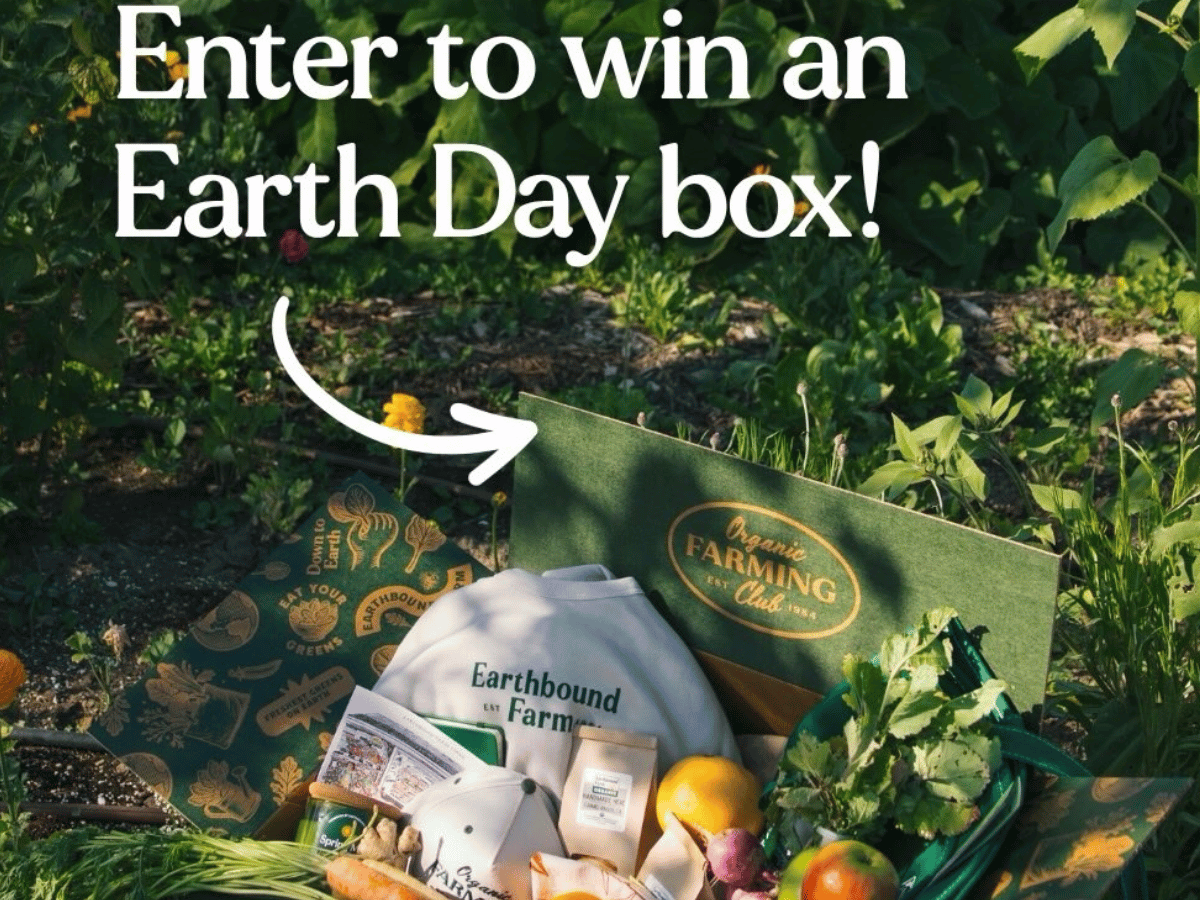 Earth Day Box