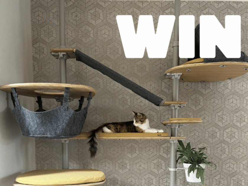 Omlet Cat Products