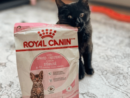 Royal Canin Cat Food