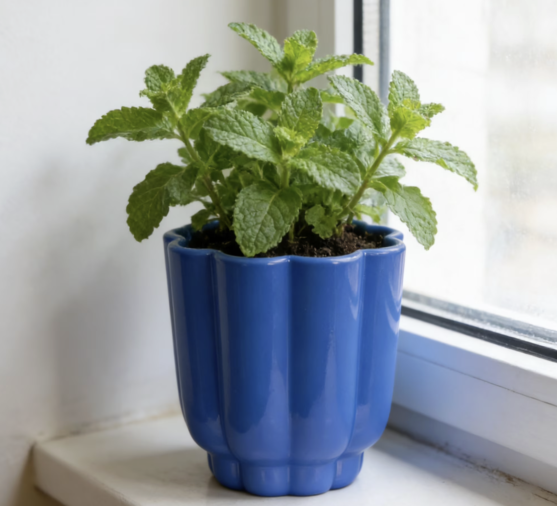 Screenshot 2026 04 17 at 8 53 34 AM