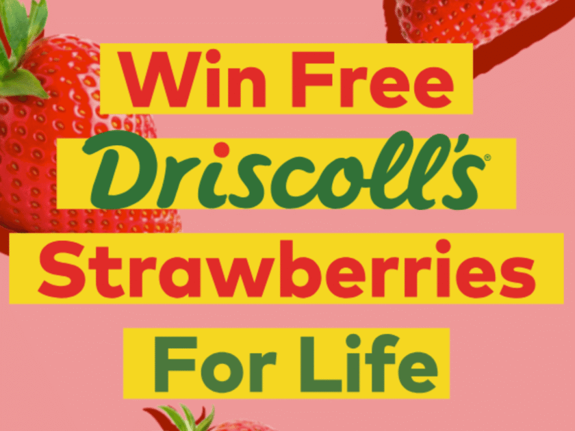 Strawberries for LIFE