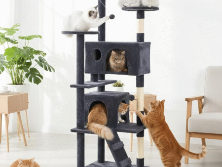cat tree dumos