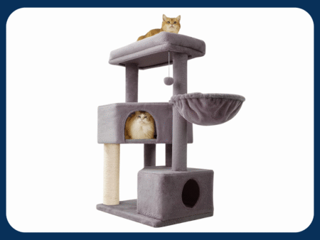cat tree medium