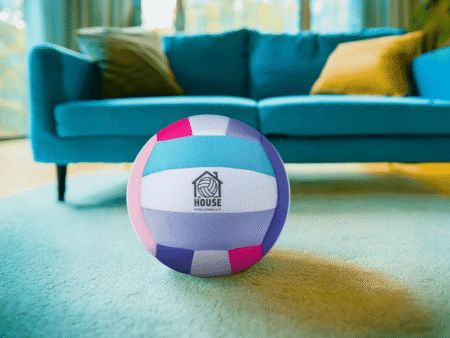 in the House Volleyball