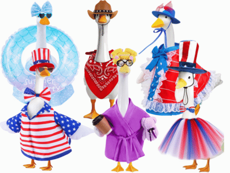 porch goose outfits